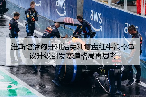 维斯塔潘匈牙利站失利复盘红牛策略争议升级引发赛道格局再思考